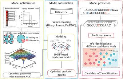 Transcriptome-Wide Annotation of m5C RNA Modifications Using Machine Learning